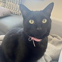 Profile Image for Zoë.