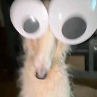 Profile Image for Malcolm.