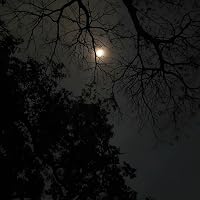 Profile Image for Supriya.