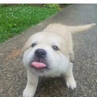 Profile Image for tea.
