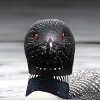 Profile Image for Amélie.