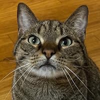 Profile Image for Emily.