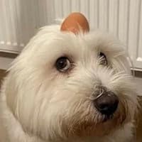 Profile Image for mukhmo.