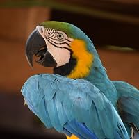Profile Image for Christine.