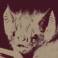 Profile Image for Rita.
