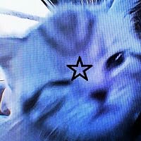 Profile Image for maia.