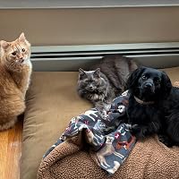 Profile Image for Naomi.