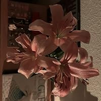 Profile Image for ᴍᴀʀʏ.