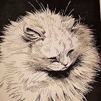 Profile Image for Natasza.