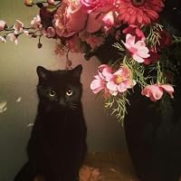 Profile Image for 𝓴𝓮𝓮𝓻𝓪𝓽.