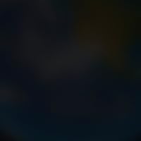 Profile Image for Diego Leu.