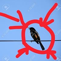 Profile Image for Le piaf.