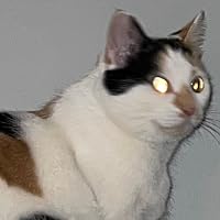 Profile Image for Alison.