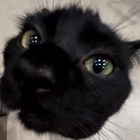 Profile Image for nat.