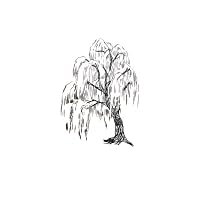 Profile Image for Júlia.