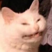 Profile Image for anis.