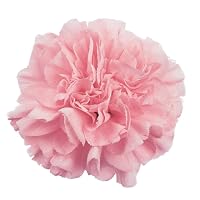 Profile Image for Carmen Gómez.