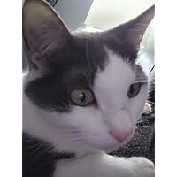 Profile Image for Hanluvr.