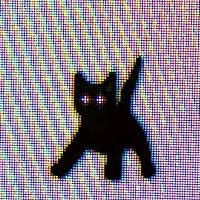 Profile Image for voidcat.