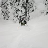 Profile Image for David K.