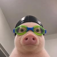 Profile Image for oinkyreads.