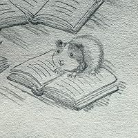 Profile Image for Evi.