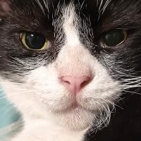 Profile Image for Pott.