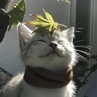 Profile Image for jusiaczytaa_.