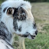Profile Image for Corrine B.