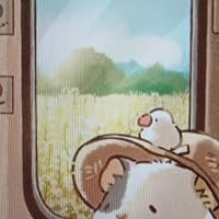 Profile Image for Poppy Ophelia Anne .