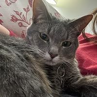 Profile Image for Taylor.