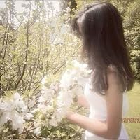 Profile Image for ⋆˚࿔ allison ˎˊ˗ {semi-ia}.