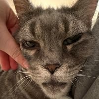 Profile Image for Meow.