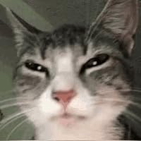 Profile Image for matcha.