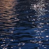 Profile Image for alstroemeriaswan.