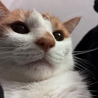 Profile Image for Amy.