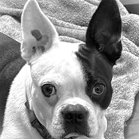 Profile Image for Payton AnnEMarie Boyd.