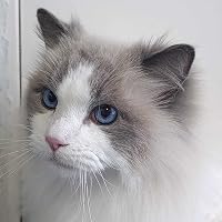 Profile Image for Christine.