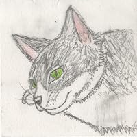 Profile Image for Yuang Tong.