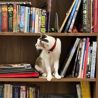 Profile Image for fathi.reads.fiction.