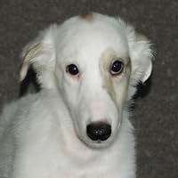 Profile Image for tia lee.