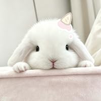 Profile Image for Bunni.