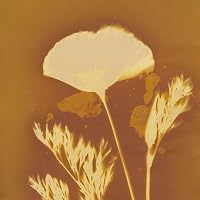 Profile Image for Lidia.