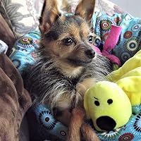 Profile Image for Bonita Soley.