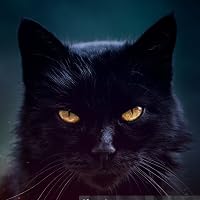 Profile Image for Meow.