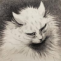 Profile Image for v.