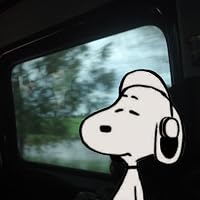Profile Image for angel.