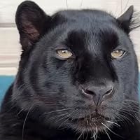 Profile Image for Robert.