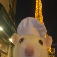 Profile Image for Sꨄ (trying to be more active).
