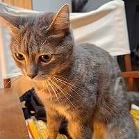 Profile Image for Emma.